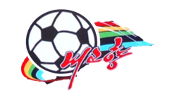 我故乡女足